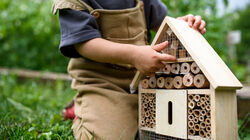 Klicken zum Vergrößern Klicken zum Vergrößern